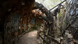 Foto pada 27 April 2019 memperlihatkan interior dari bangunan berbentuk naga di Taman Air Ho Thuy Tien yang telah lama ditinggalkan di kota Hue, Vietnam. Masyarakat lokal Vietnam banyak yang tidak mengetahui keberadaan taman air ini. (Manan VATSYAYANA/AFP)
