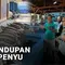 Dugaan Penyelundupan 22 Ekor Penyu