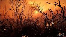 Ilustrasi kebakaran hutan dan lahan di Australia selama musim kemarau, lazim dikenal sebagai fenomena Bushfire. (Rob Griffith / AFP PHOTO)