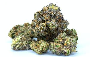 Ilustrasi Ganja (Avery Meeker/Unsplash).