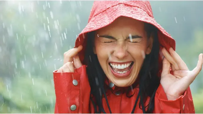 Foto : copyright shutterstock.com