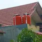 Seekor monyet ekor panjang memanjat rumah warga Pekanbaru. (Liputan6.com/M Syukur)