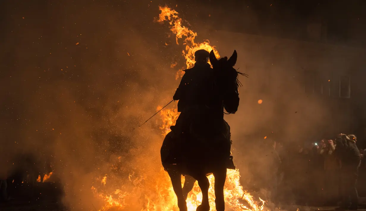 Aksi berkuda menembus kobaran api saat Festival Luminarias, Spanyol, Senin (16/1). Peringatan Hari Santo Antonius dirayakan dengan Festival Luminarias yang unik. (AFP Photo/ PIERRE-PHILIPPE Marcou)