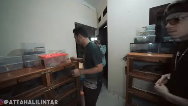 7 Penampakan Isi Rumah Panji Petualang, Ada Hewan Purbakala