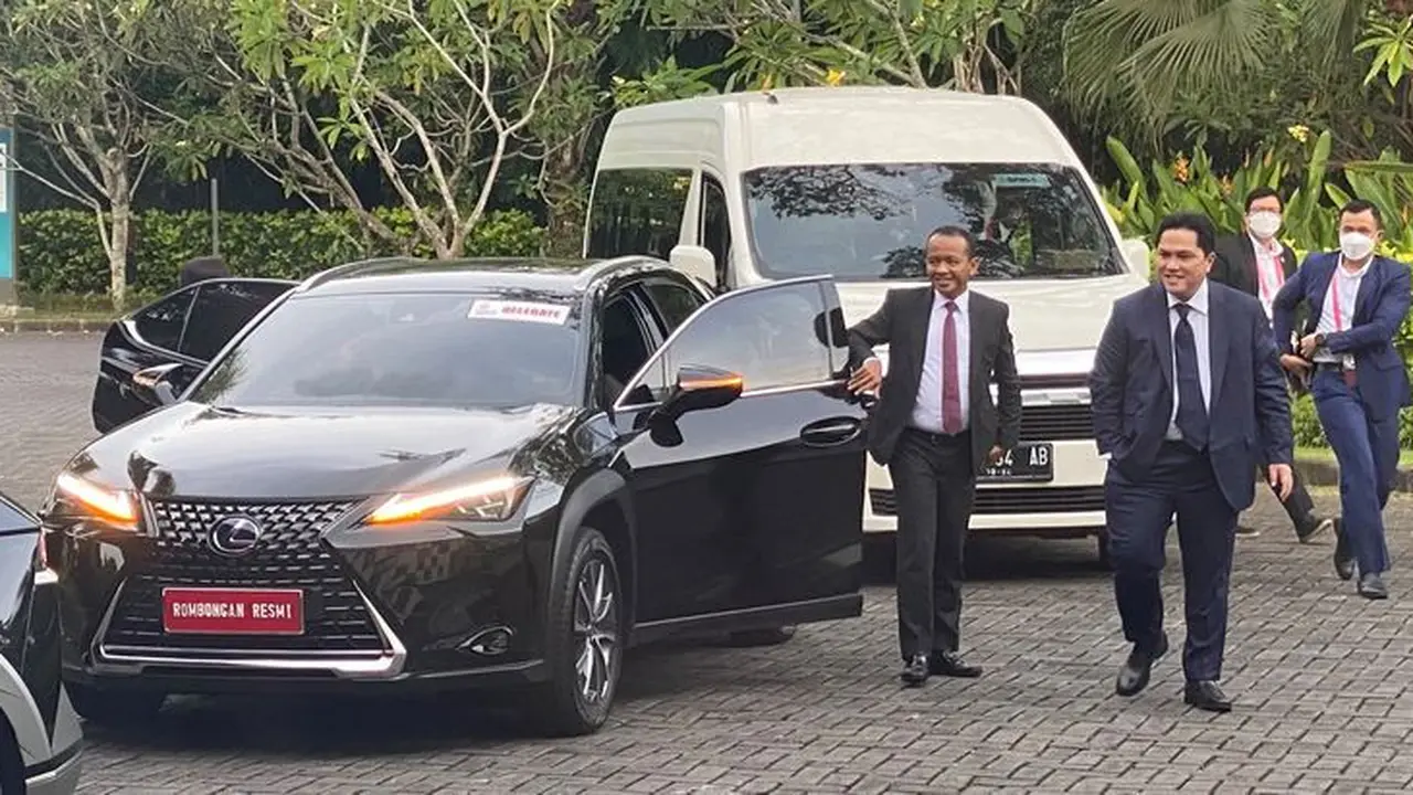 Lexus UX300e