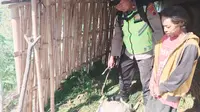 Kambing-Kambing Warga di Lereng Gunung Lawu Mati Misterius