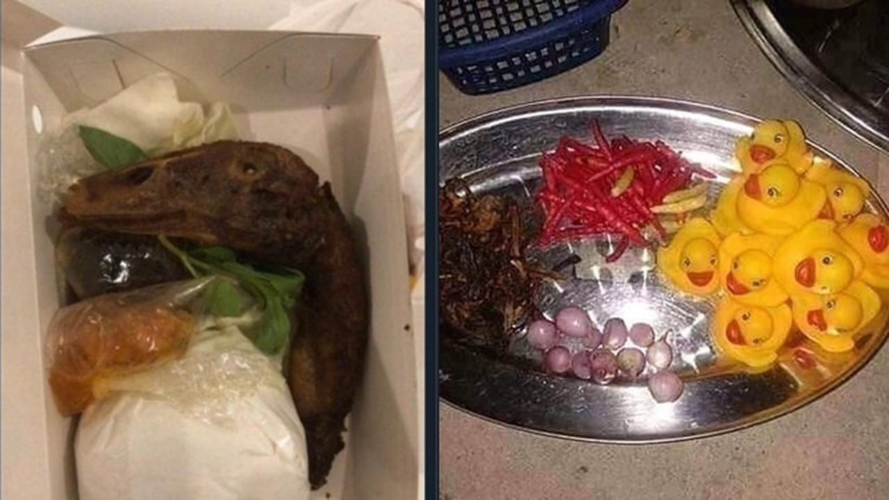 6 Potret Makan Bebek Ini Anti-Mainstream, Kelewat Nyeleneh