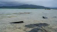 Kapal Feri Tenggelam di Vanuatu, 1 Tewas dan 30 Orang Lainnya Hilang