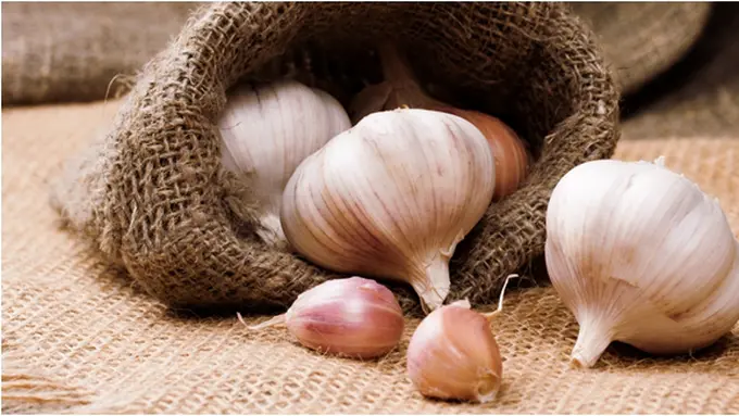 Courtesy ShutterStock.com