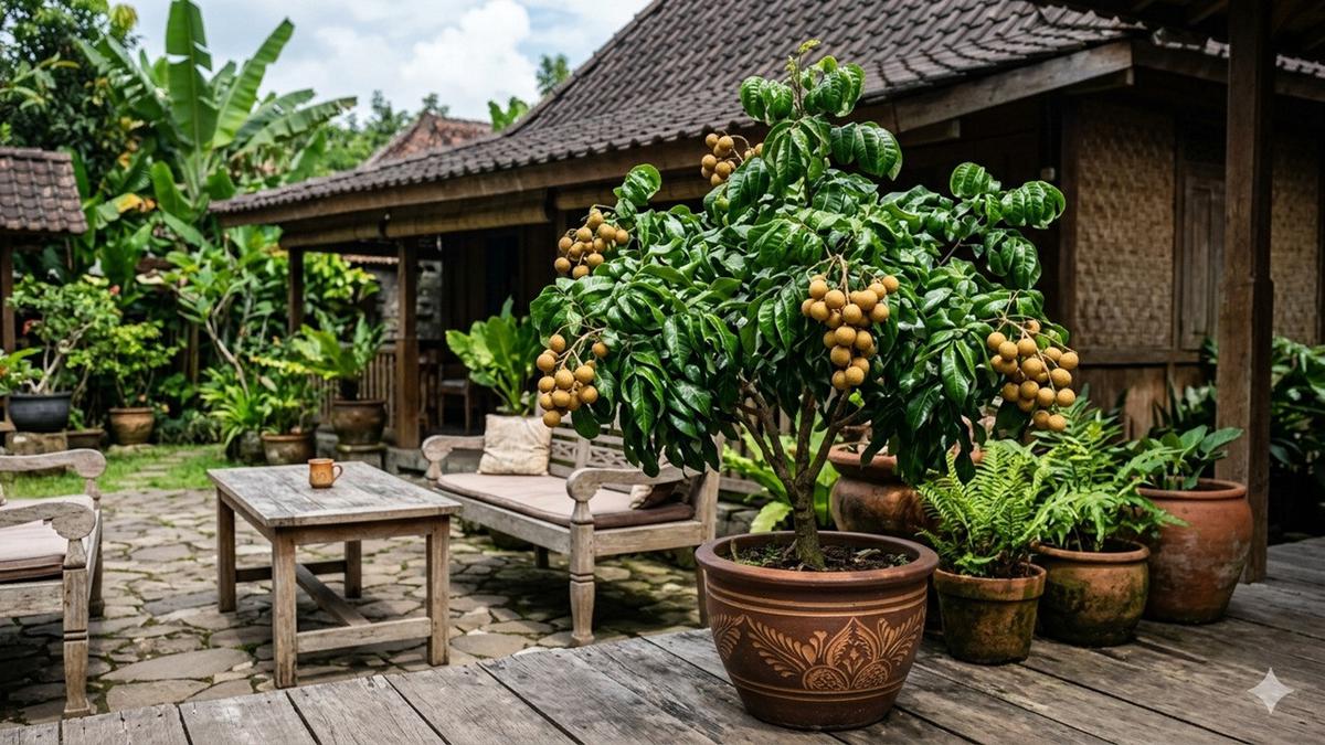 7 Pohon Buah Mini Daun Mengkilap, Koleksi Wajib Pecinta Tabulampot Modern