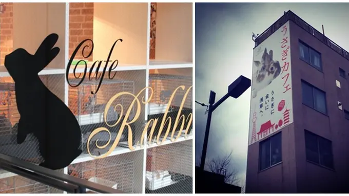 Foto : copyright kotaku