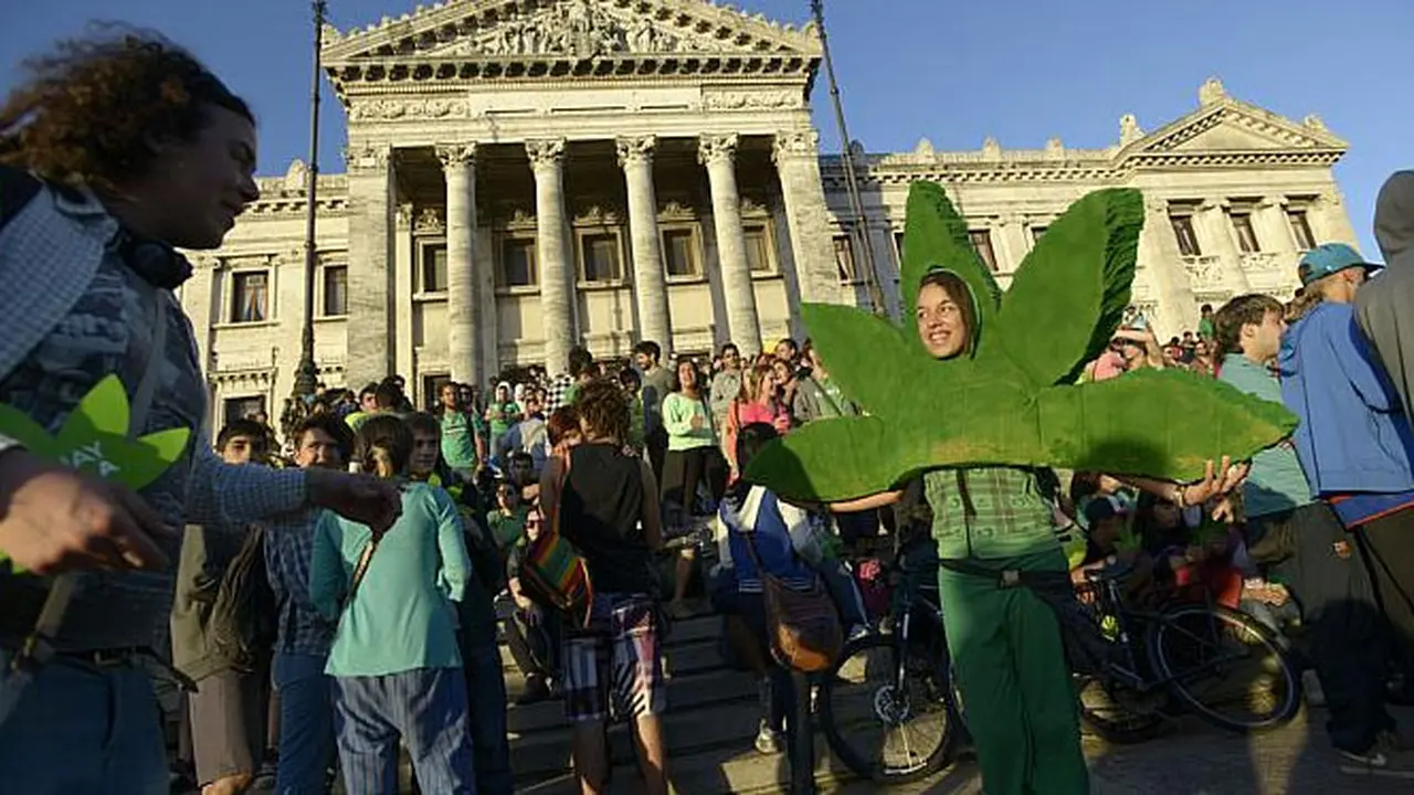 ganja-legal-131211b.jpg