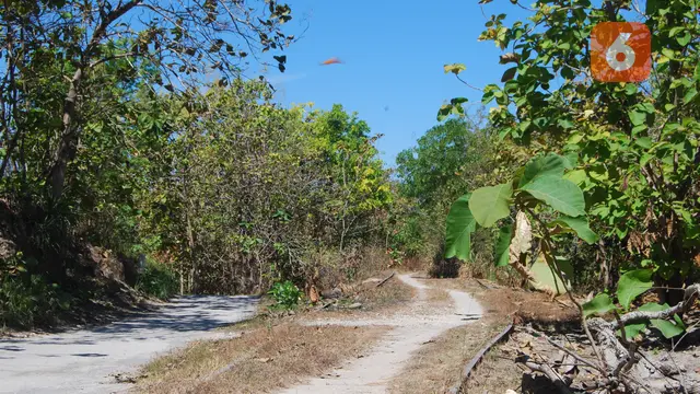 Kereta api madura