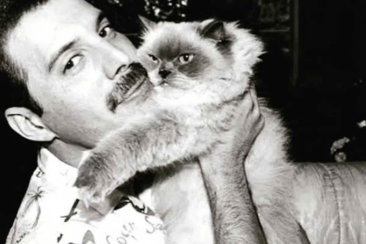 Freddie Mercury