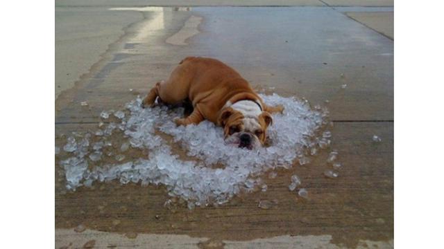 7 Foto Saat Suhu Di Eropa Capai 40 Derajat Celcius Ini Bikin Geleng Kepala Hot Liputan6 Com