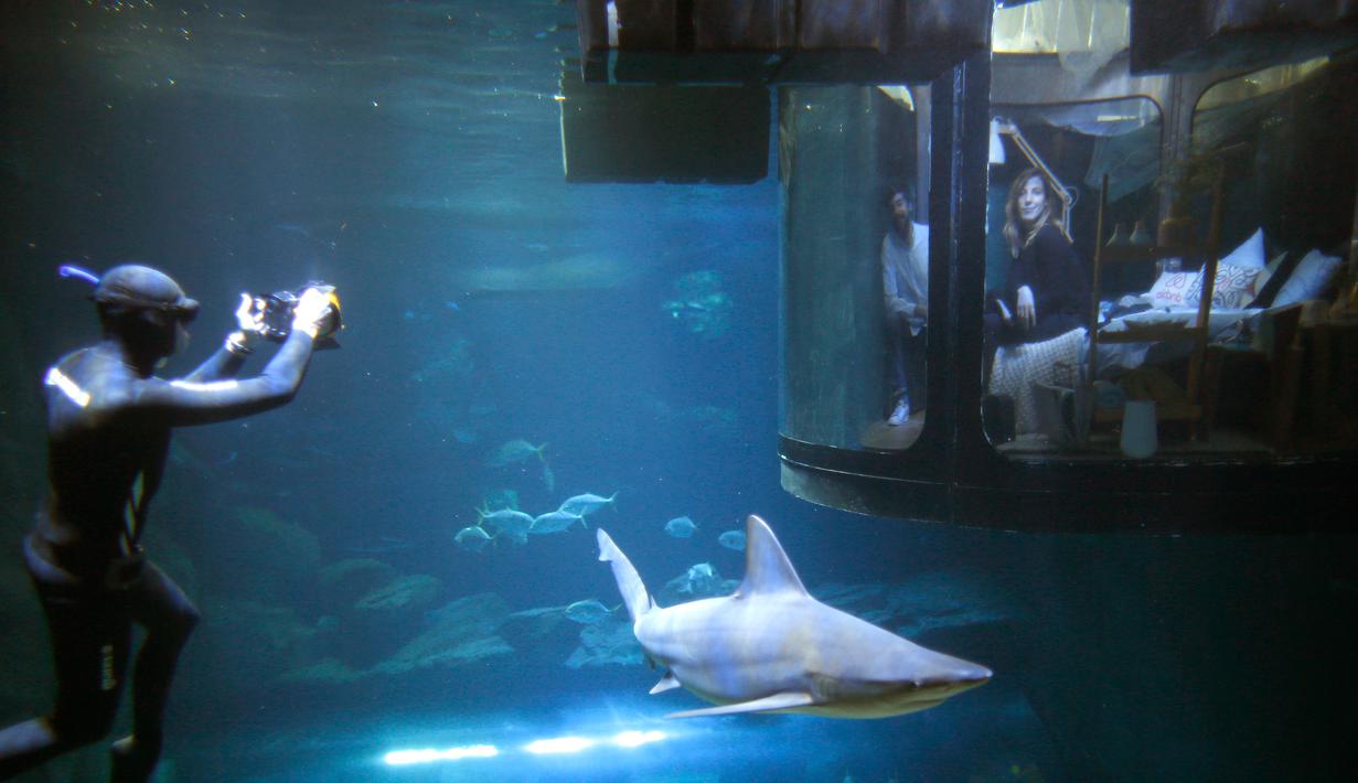 Seorang penyelam mengambil gambar pengunjung yang tengah melihat kawanan hiu dari sebuah kamar saat menginap di hotel bawah air Aquarium of Paris, Prancis, 14 Maret 2016. (REUTERS/Charles Platiau)