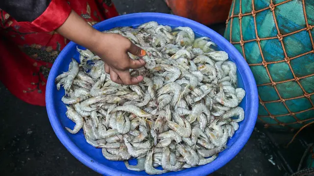 Penuhi Kebutuhan Protein Masyarakat, KKP Tegaskan Penguatan Sektor Perikanan Tangkap maupun Budidaya
