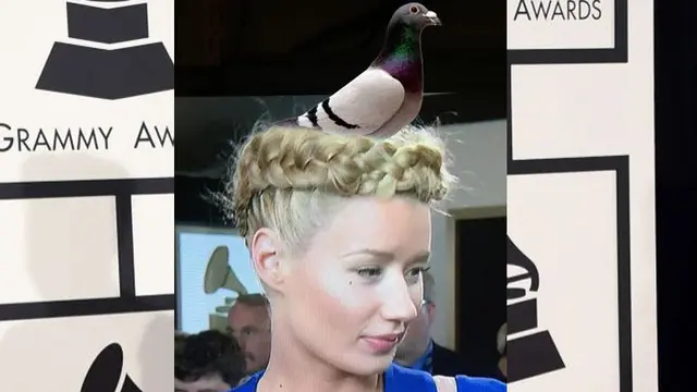 rambut Iggy Azalea dijadikan sarang burung