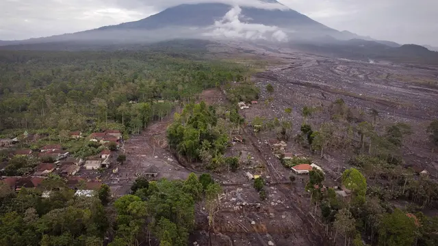 Dampak Erupsi Gunung Semeru, Desa Supiturang Luluh Lantak
