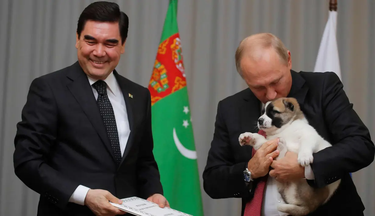 Presiden Rusia, Vladimir Putin (kanan) memncium anjing gembala Turkmen atau dikenal sebagai Alabai pemberian Presiden Turkmenistan Gurbanguly Berdimuhamedov saat pertemuan di Sochi, Rusia (11/10). (AFP Photo/Pool/Maxim Shemetov)