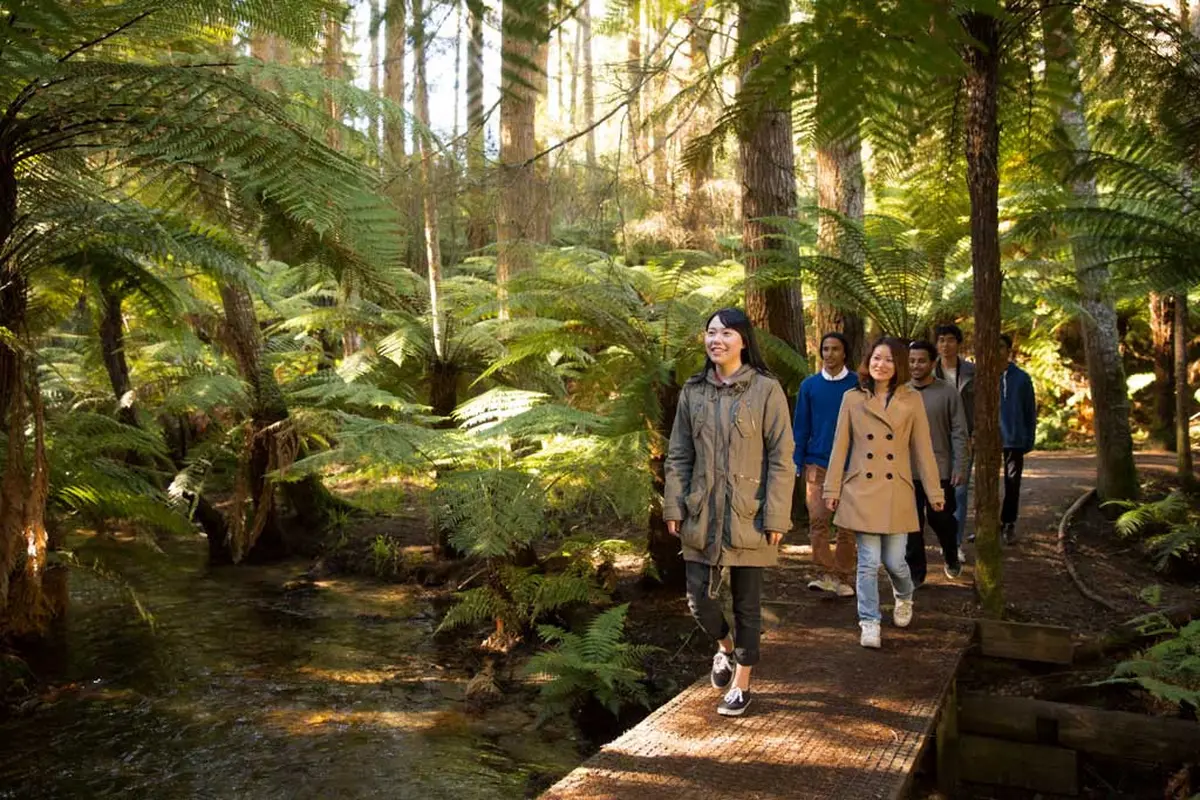 Bak Liburan, 5 Alasan Ini Buat Anda Ingin Kuliah Ke New Zealand