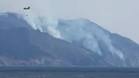 Jepang Dilanda Kebakaran Hutan Terbesar dalam Beberapa Dekade, 1 Orang Tewas dan 1.000 Penduduk Dievakuasi