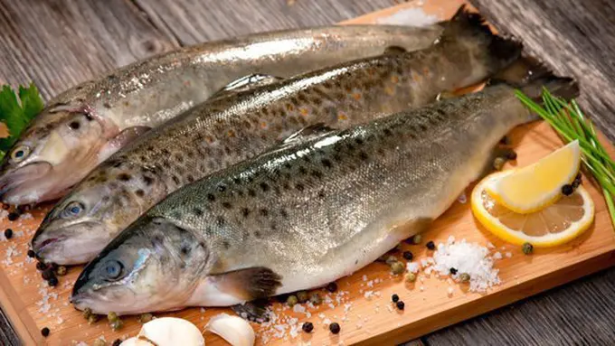 Ikan, sumber makanan penuh gizi/copyright: thinkstockphotos.com