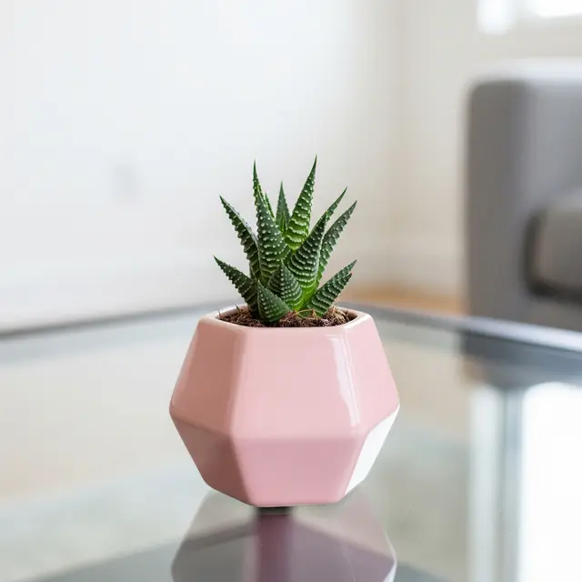 Model Pot Bunga Minimalis. Pot Keramik Geometric Mini