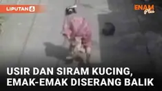 Bagi sebagian orang, keberadaan kucing dianggap mengganggu. Bahkan tak jarang sampai mengusir kucing dengan menakut-nakuti. Seperti aksi emak-emak yang terekam CCTV berikut. Seperti aksi nekat emak-emak yang terekam CCTV berikut.