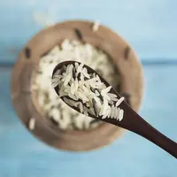 kutu beras merupakan hama. credits: freepik