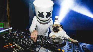DJ Marshmellow
