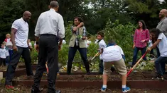 Ibu negara AS Michelle Obama didampingi Presiden AS, Barack Obama dan mantan pebasket Alonzo Mourning, Jr saat memanen ubi jalar di kebun Gedung Putih, Washington, (6/10). (AFP Photo/Jim Watson)
