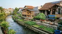 9 Ide Pekarangan Produktif untuk Rumah yang Berada Dekat Sungai, Sumber Pangan Mandiri