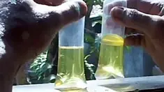 liputan6
