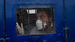 Seorang dokter berada di dalam mobil tahanan saat aksi demonstrasi dari dokter dan tenaga medis di Pakistan, Senin (6/4/2020). Polisi bahkan menangkap sejumlah dokter dan tenaga medis yang melakukan aksi karena menuntut kurangnya alat pelindung diri (APD) yang disediakan di RS di Pakistan. (AP/Arsha