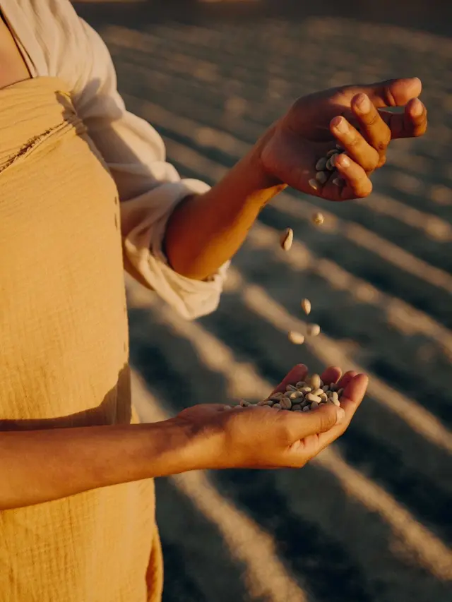 Nespresso The Empty Cup