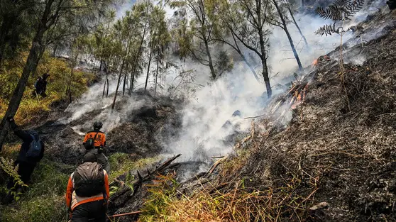 Kebakaran Bromo Diduga Akibat Human Error, Ini Kata Menko Polkam
