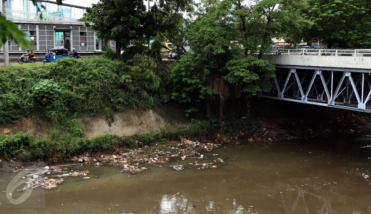 Ceceran sampah menumpuk di pinggir Kali Ciliwung di sisi jalan Menteng Tenggulun, Jakarta, Kamis (22/12). Turunnya debit air Kali Ciliwung membuat ceceran sampah tersangkut. (Liputan6.com/Helmi Fithriansyah)