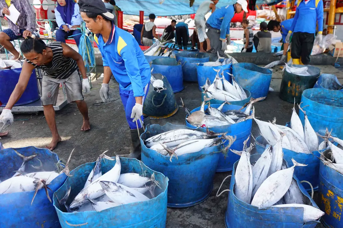 KKP Dorong Ekspor Hasil Tangkap Ikan Nelayan Tradisional