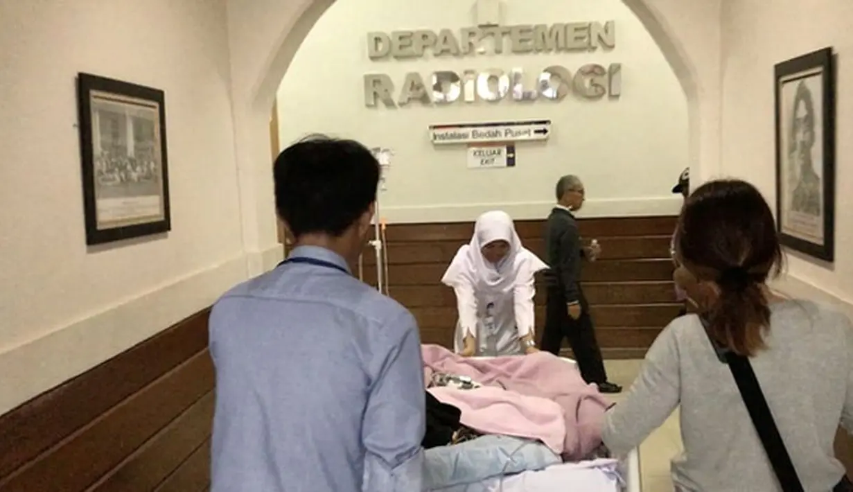 Sejak tiga tahun belakangan ini,Jupe mengindap penyakit kanker serviks. Bahkan, kanker yang kini sudah mencapai stadium 4 itu pernah dinyatakan sembuh. Kondisi kembali memburuk akhir 2016 silam. (Instagram/juliaperrezz)