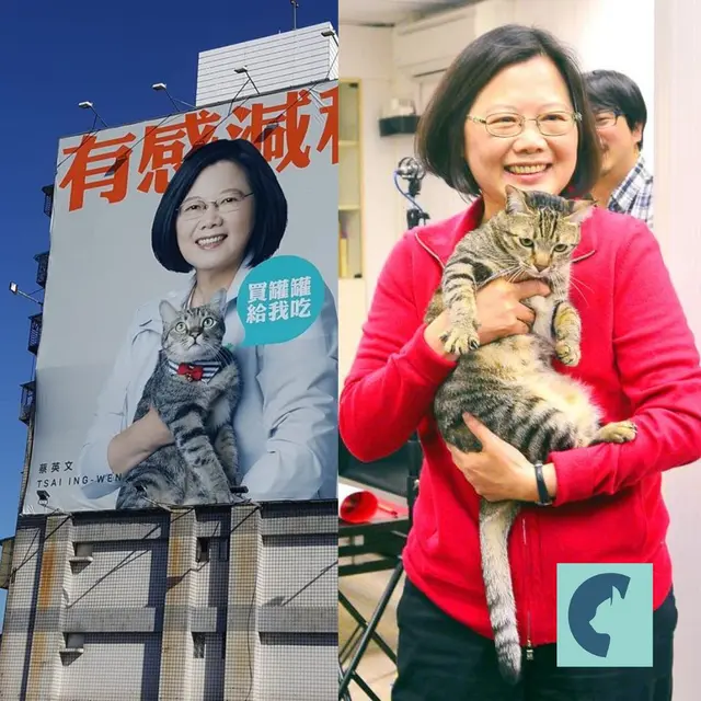 tsai ing-wen dan xiang xiang