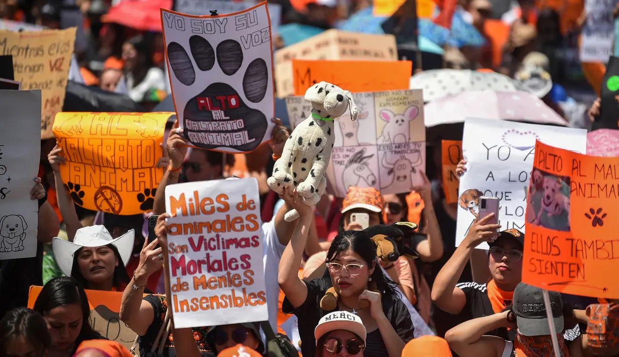 Anggota asosiasi hak-hak hewan ikut serta dalam demonstrasi menentang penyiksaan hewan di Mexico City pada tanggal 16 Maret 2024. (Rodrigo Oropeza/AFP)