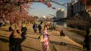 Orang-orang berjalan melewati pohon sakura di sebuah taman di distrik Edogawa, Tokyo, Jepang pada Kamis 23 Februari 2023. Untuk tahun 2023, menurut perkiraan resmi Japan Meteorological Corporation, bunga sakura di Tokyo diperkirakan akan mulai mekar pada tanggal 21 Maret. (Philip FONG/AFP)