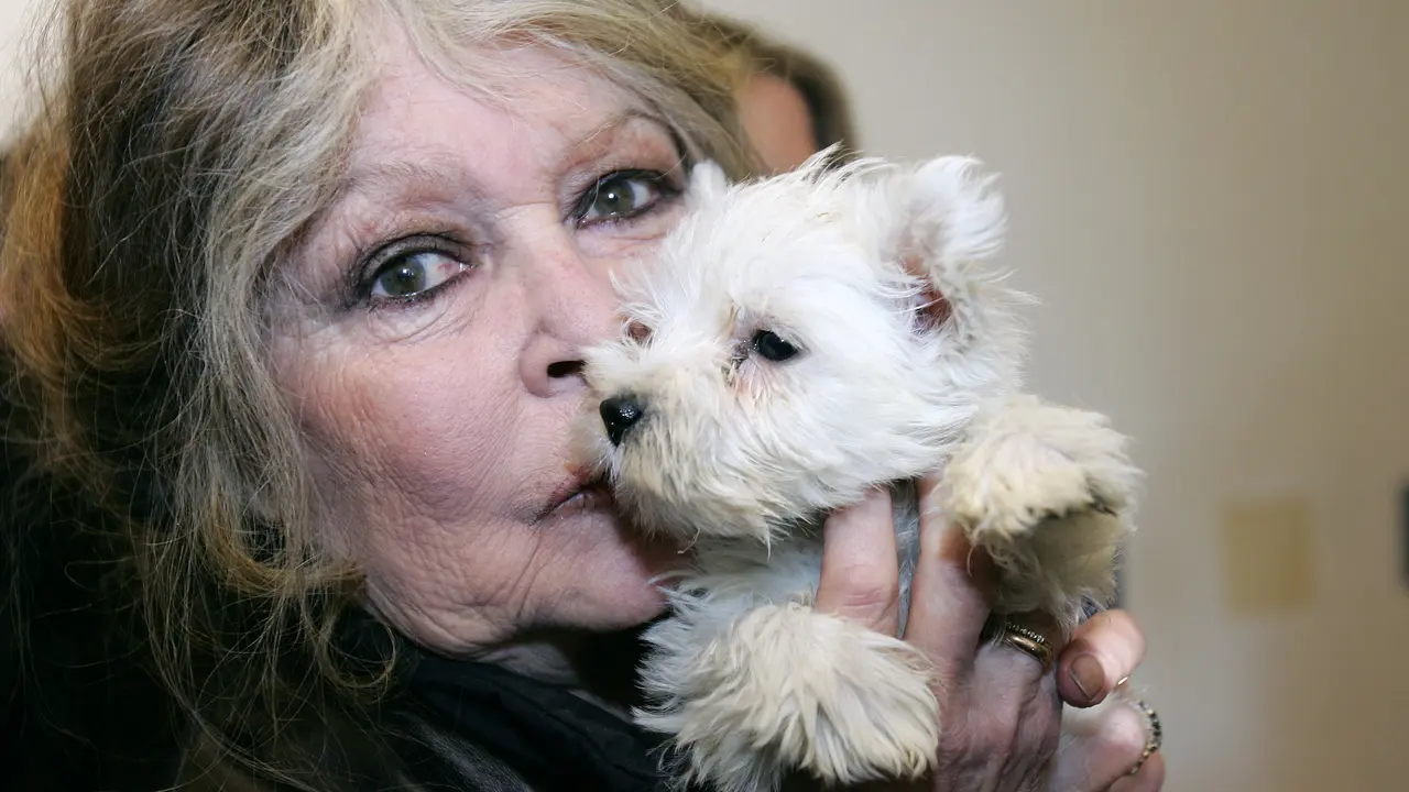 Kontroversi Brigitte Bardot, Si Pembela Hak Hewan yang Pernah Dituding Tebar Kebencian pada Islam