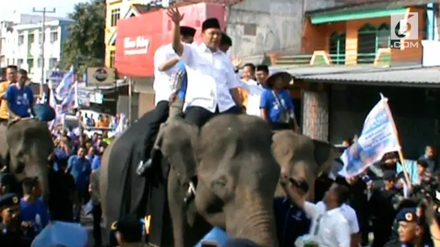 VIDEO: Daftar ke KPU, Pasangan Ini Tunggangi Gajah Sumatera
