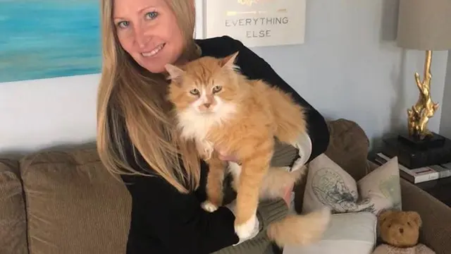 Toby, Kucing Malang Nyaris Disuntik Mati oleh Keluarga yang Ia Rindukan