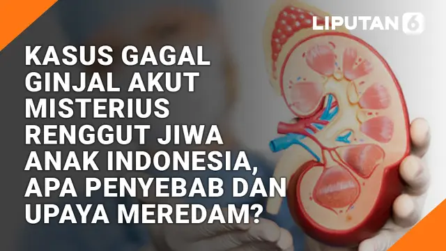 Kasus Gagal Ginjal Akut Misterius Renggut Jiwa Anak Indonesia, Apa Penyebab dan Upaya Meredam?