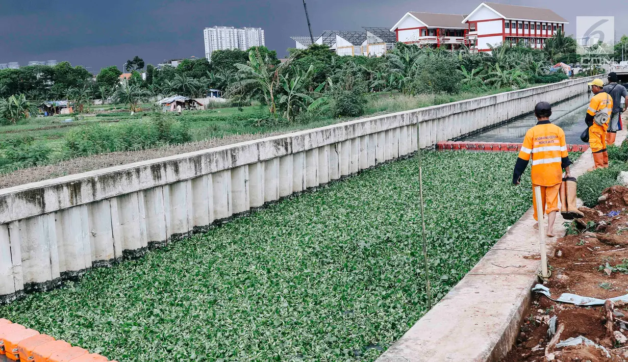 Petugas beraktivitas di sekitar lokasi uji coba tanaman eceng gondok di Kali Inlet 3, Tanjung Priok, Jakarta, Selasa (4/12). Eceng gondok mulai ditanam Pemprov DKI sebagai salah satu strategi membersihkan sungai di Jakut. (Liputan6.com/Immanuel Antonius)