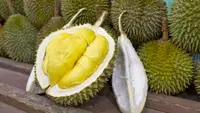 Berbagai Jenis Durian Berdaging Tebal: Kenali Ciri Kualitas Premium