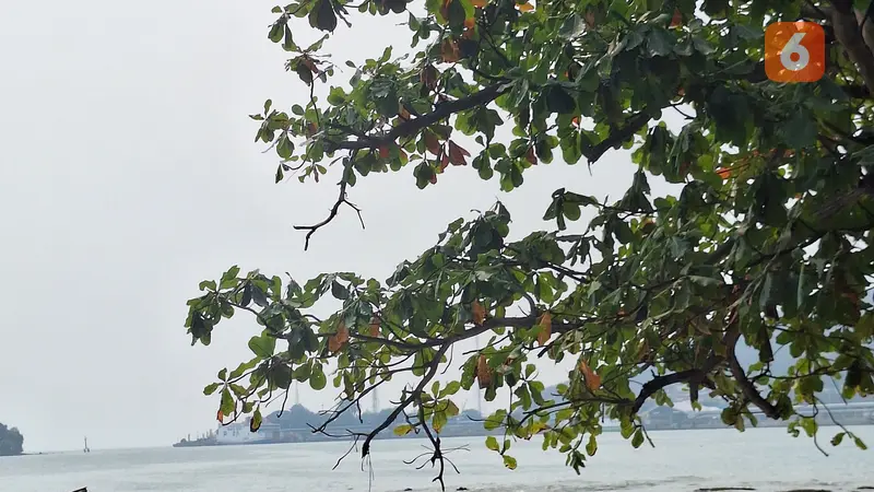 Pulau Merak Kecil sebagai Surga Tersembunyi Banten